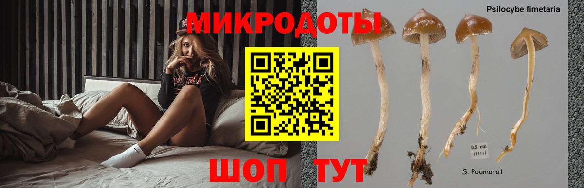 Псилоцибиновые грибы Cubensis  Вход с VPN  Ханты-Мансийск 
